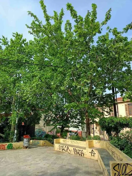 Kalithea View Διαμέρισμα Θεσσαλονίκη Ελλάδα